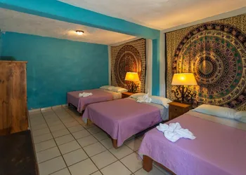 Colibri Hotel hotel thumbnail 5