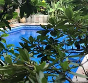Casa del Sol Inn hotel detail image 3