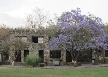 Hotel Boutique Castillo de Piedras Vivas hotel thumbnail 6