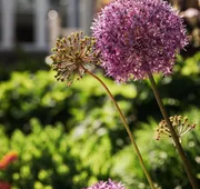 East Bay Bed & Breakfast hotel detail image 4