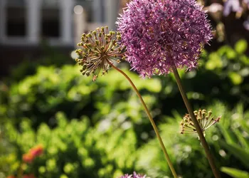East Bay Bed & Breakfast hotel thumbnail 4