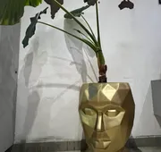 Hotel don bosco hotel detail image 5