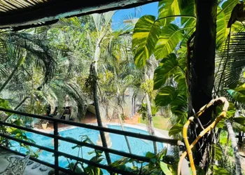 Maya del Carmen hotel thumbnail 2
