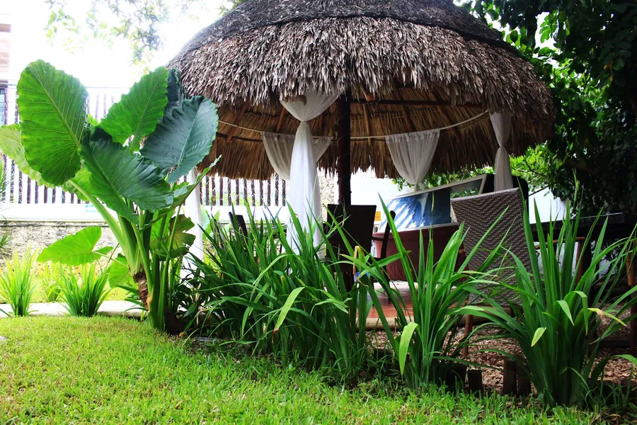 Maya del Carmen hotel detail image 6