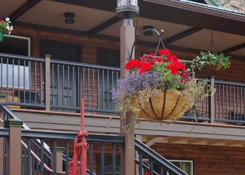 Bailey Lodge hotel thumbnail 3