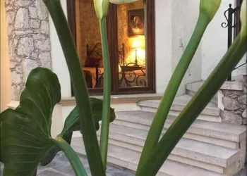Hotel Boutique Rancho San Jorge hotel thumbnail 8
