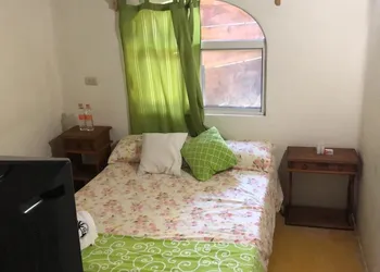 Lush Boutique Hotel hotel thumbnail 6