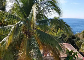 Hotel Las Palmas hotel thumbnail 2
