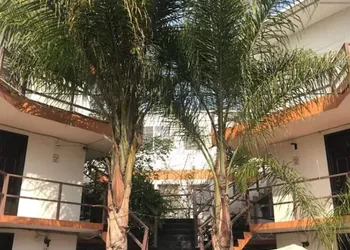 Hotel Palmas hotel thumbnail 2