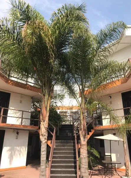 Hotel Palmas hotel detail image 2
