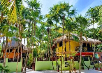 Hotel Palmas hotel thumbnail 4