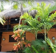 Hotel Palmas hotel detail image 5