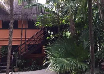Hotel Palmas hotel thumbnail 6