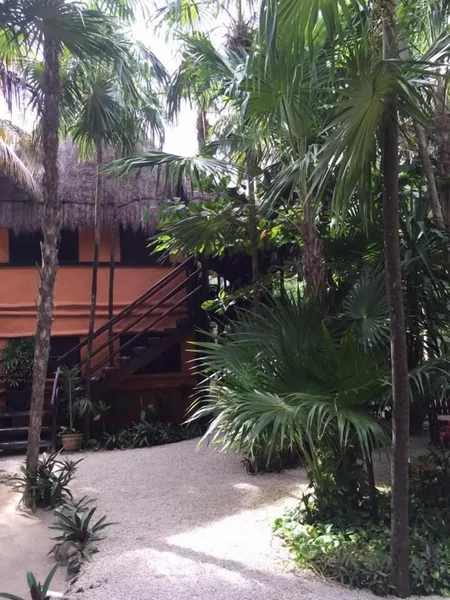 Hotel Palmas hotel detail image 6