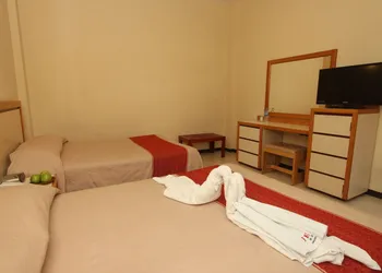 Hotel Ferri hotel thumbnail 7