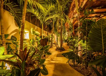 Hotel Boutique TerraNova hotel thumbnail 3