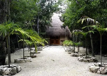 Raíces del Cielo Oasis Holístico hotel thumbnail 2