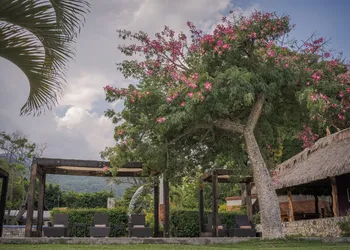 Nimue Marina Residence & Hotel Boutique hotel thumbnail 5