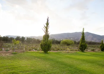 Sueños Resort Valle de Guadalupe hotel thumbnail 5