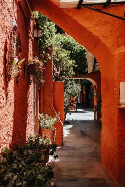 Mansion del Bosque hotel detail image 6