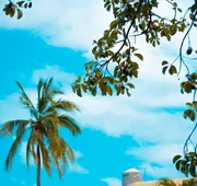 Hotelito Mar Azul hotel detail image 4
