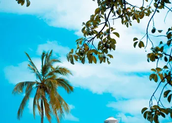 Hotelito Mar Azul hotel thumbnail 4