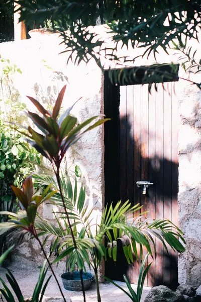 Nest Tulum hotel detail image 2