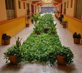Hotel Isla Esmeralda hotel thumbnail 8