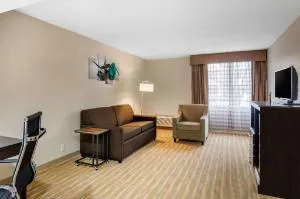 Quality Inn & Suites Ruther Glen hotel thumbnail 2