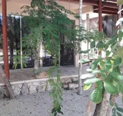 Iguana Rana Cabins Bacalar hotel detail image 3