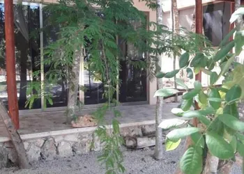 Iguana Rana Cabins Bacalar hotel thumbnail 3