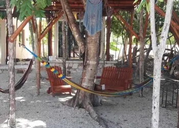 Iguana Rana Cabins Bacalar hotel thumbnail 4