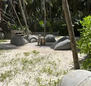 Libelula Tulum Beachfront Hotel hotel detail image 7