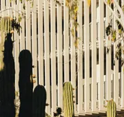Solaz, A Luxury Collection Resort, Los Cabos a Marriott Hotel hotel detail image 3