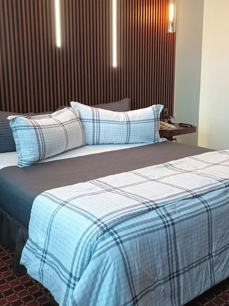 Suites Inn La Muralla Metepec hotel detail image 6