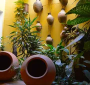 Hotel Casa Divina Oaxaca hotel detail image 7