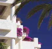 Las Ventanas al Paraiso, A Rosewood Resort hotel detail image 7