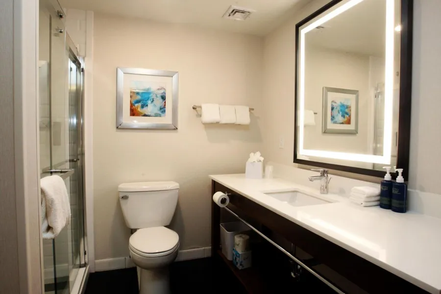 Four Points by Sheraton Wakefield Boston Hotel & Conference Center hotel detail image 6