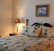Gatlinburg Chateau Rentals hotel detail image 4