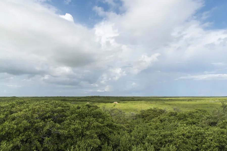 Cormoran Boutique Hotel & Cenote Tulum hotel detail image 2