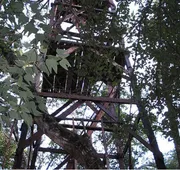 Campamento Yaaxche en Calakmul hotel detail image 3