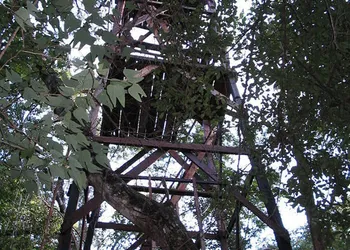 Campamento Yaaxche en Calakmul hotel thumbnail 3