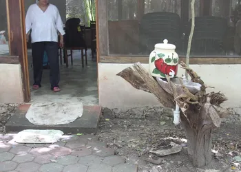 Campamento Yaaxche en Calakmul hotel thumbnail 5