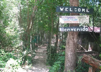 Campamento Yaaxche en Calakmul hotel thumbnail 6