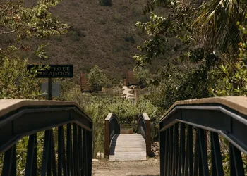 Hotel Cuatro Cuatros hotel thumbnail 4