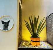 Cadillac Hotel Boutique hotel detail image 7