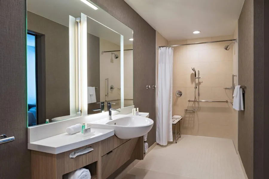 SpringHill Suites by Marriott Dallas Richardson/University Area hotel detail image 6