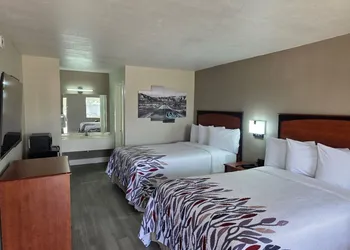 Red Roof Inn Shamrock hotel thumbnail 6