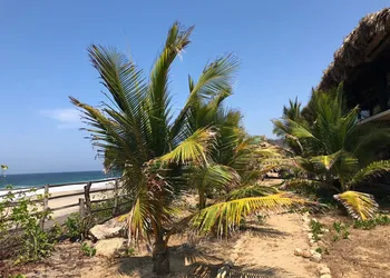 Casa Ofelia hotel thumbnail 3
