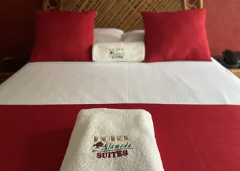Hotel Alameda Orizaba hotel thumbnail 8